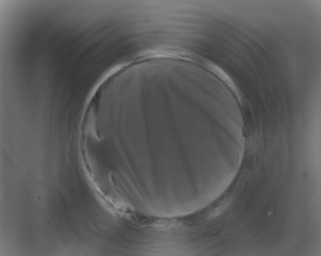 X0000081361146200702082314