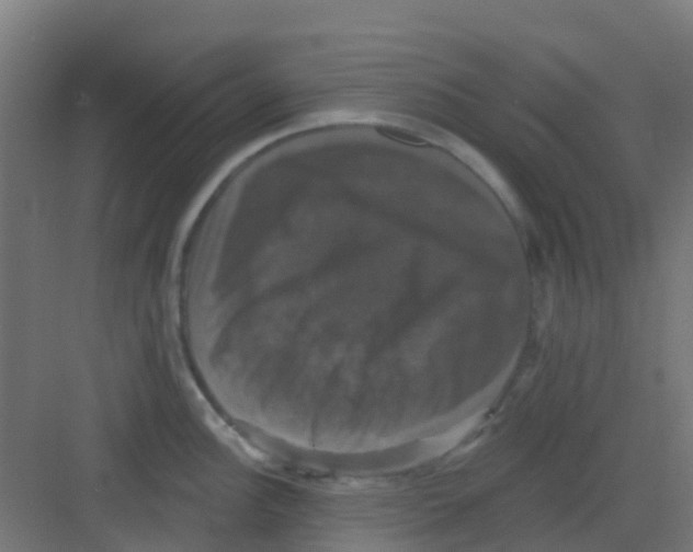 X0000081361148200702082314