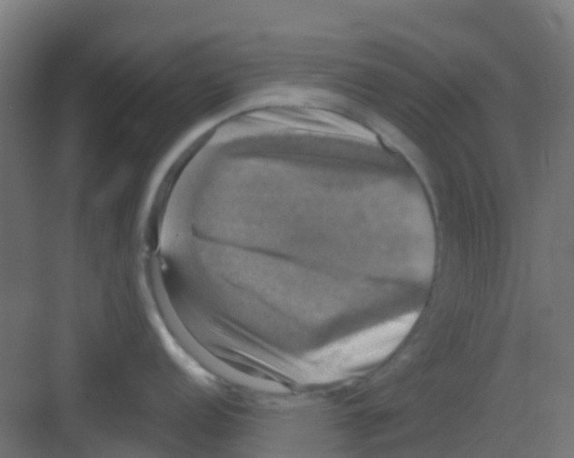 X0000081361152200702082314