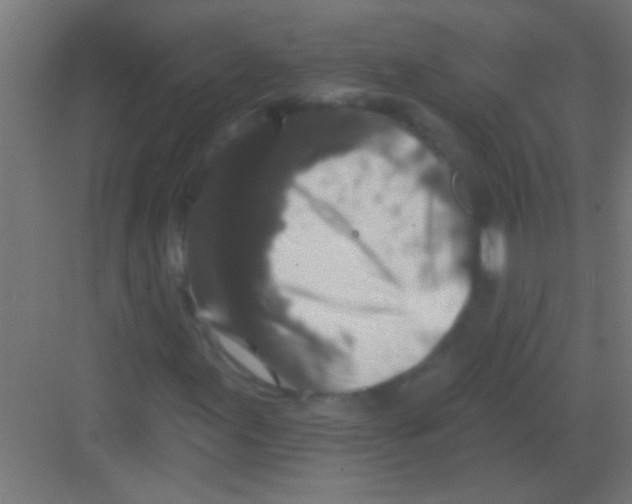 X0000081361155200702082313