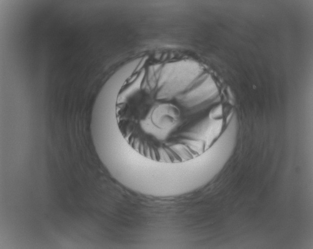 X0000081361157200702082313