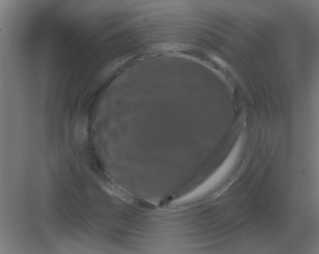 X0000081361161200702082313