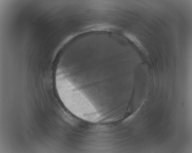 X0000081361164200702082313