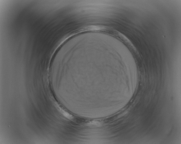 X0000081361178200702082312