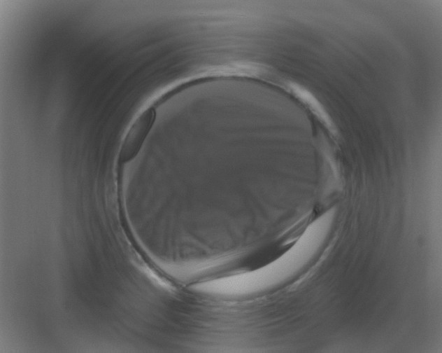 X0000081361184200702082312