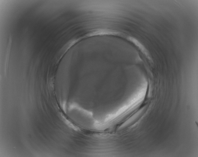 X0000081361185200702082312