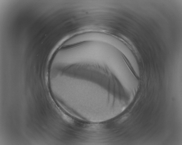 X0000081361188200702082312