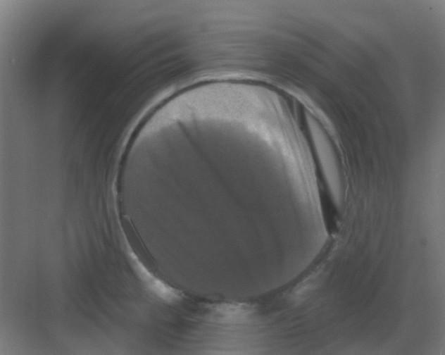 X0000081361189200702082312