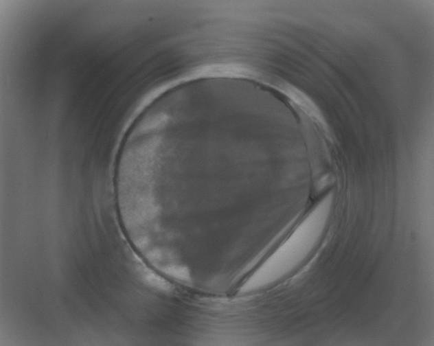 X0000081361192200702082312