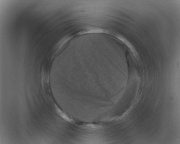X0000081361193200702082312