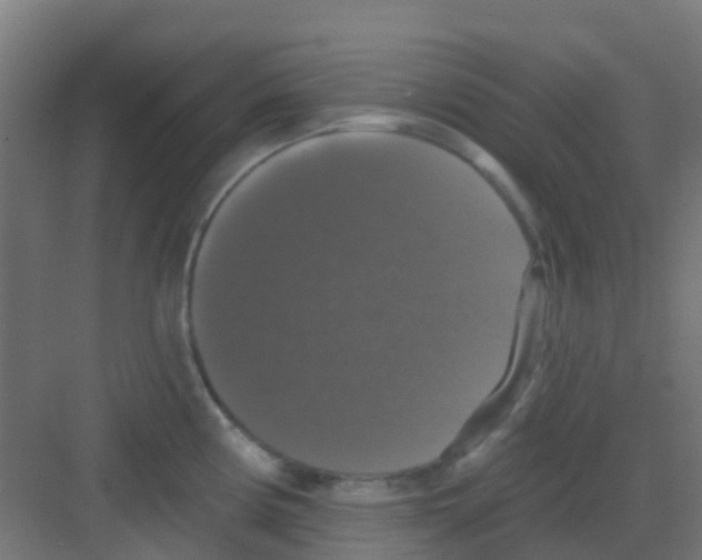 X0000081361194200702082312