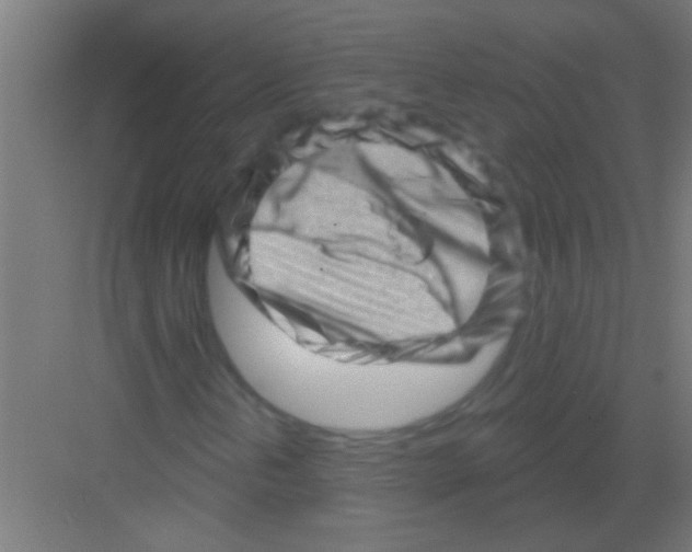 X0000081361202200702082311