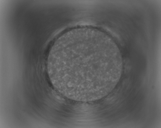 X0000081361207200702082311