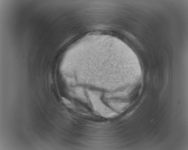 X0000081361209200702082311