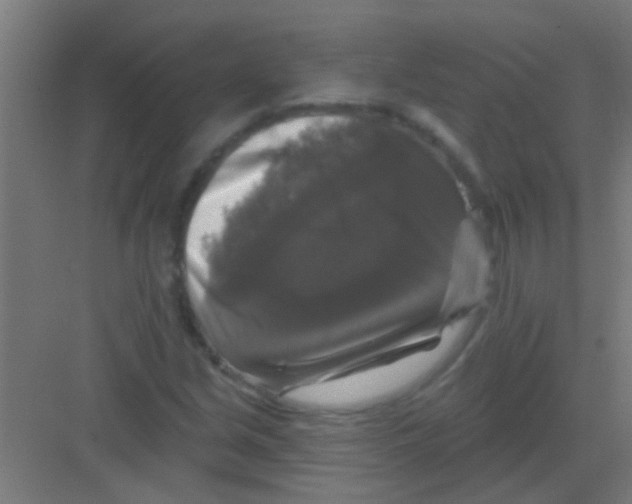 X0000081361213200702082312