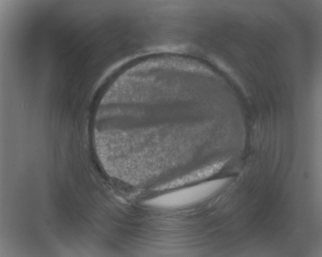 X0000081361214200702082312