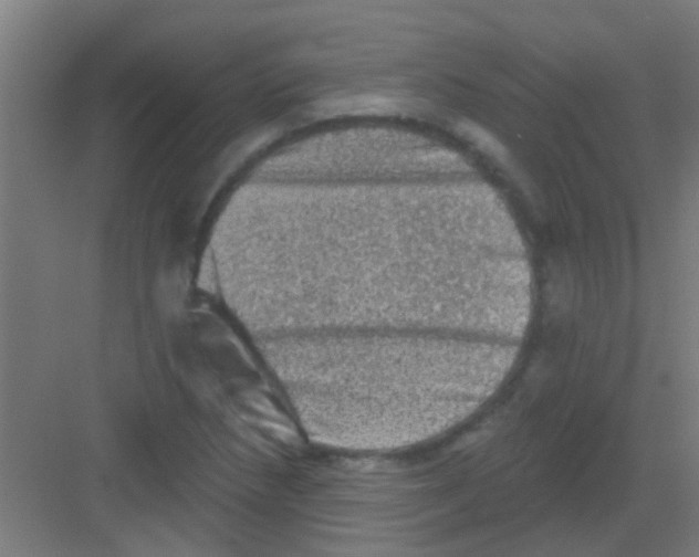 X0000081361218200702082312