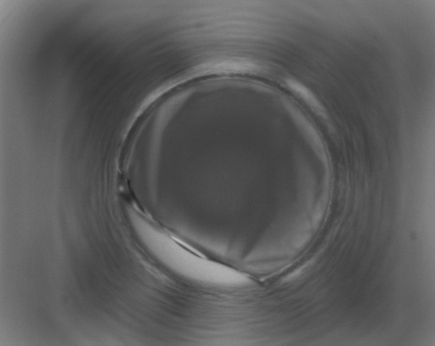 X0000081361226200702082312