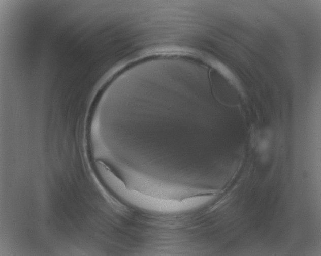 X0000081361229200702082312