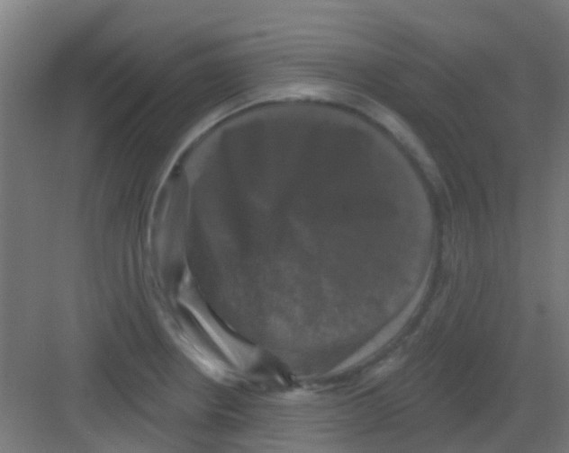 X0000081361234200702082312