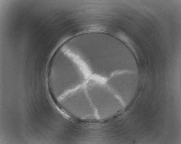 X0000081361235200702082312