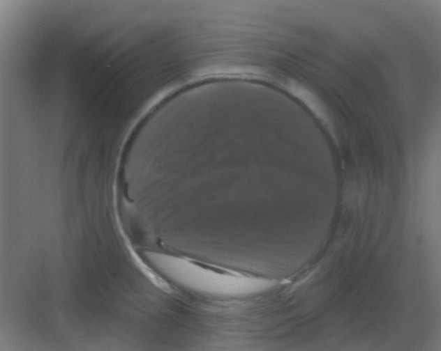 X0000081361237200702082312