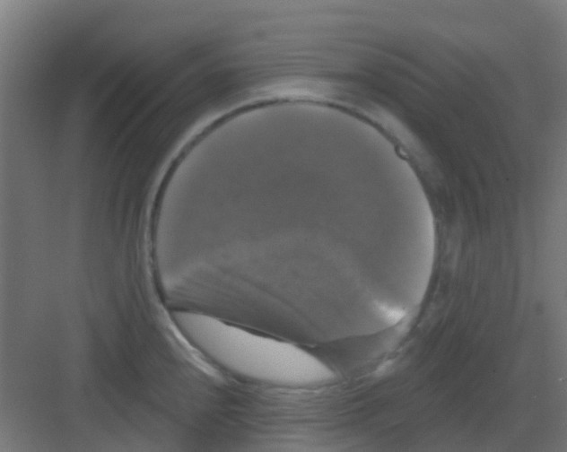 X0000081361240200702082312