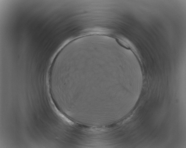 X0000081361243200702082312