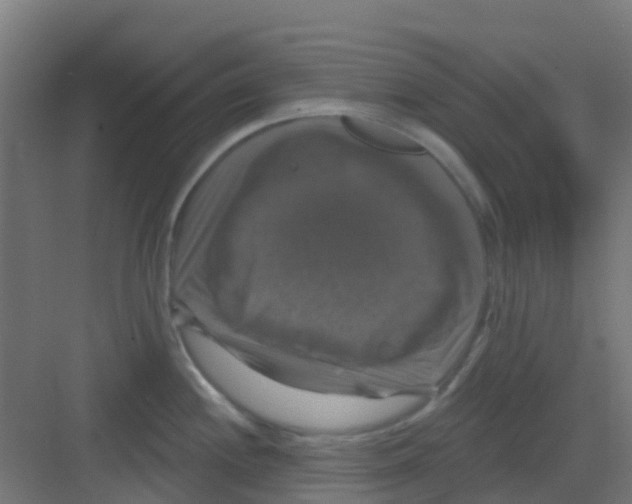 X0000081361244200702082312