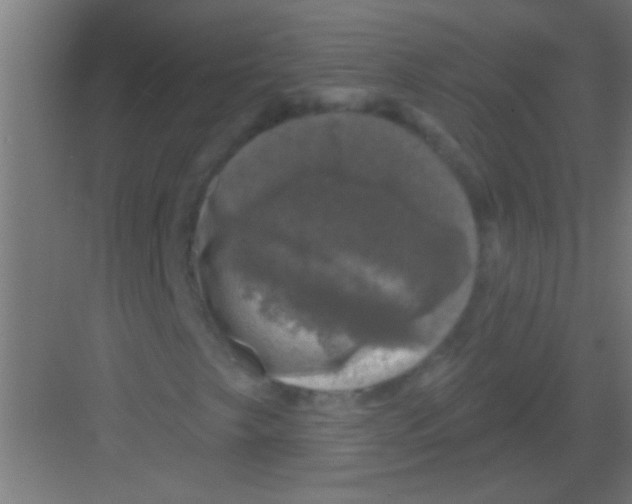 X0000081361249200702082311