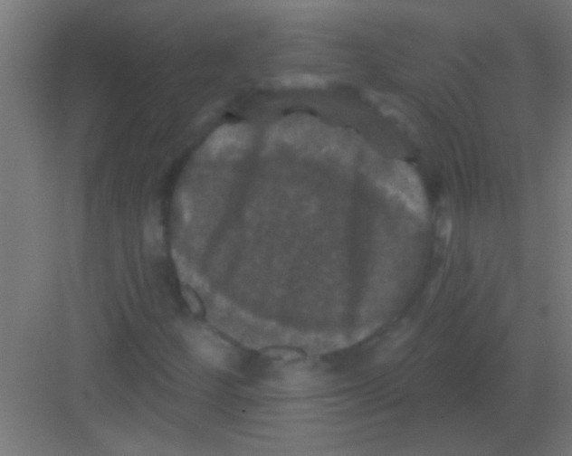 X0000081361252200702082311