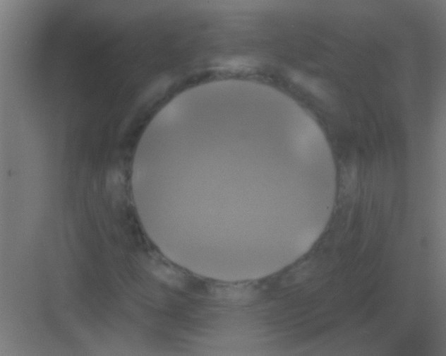 X0000081361254200702082311