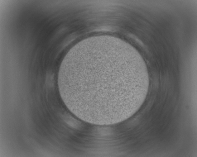 X0000081361258200702082311