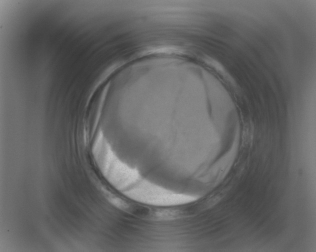 X0000081361274200702082311