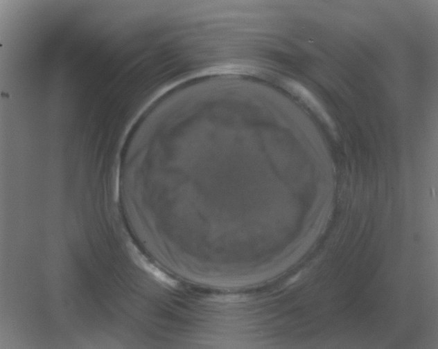 X0000081361276200702082311