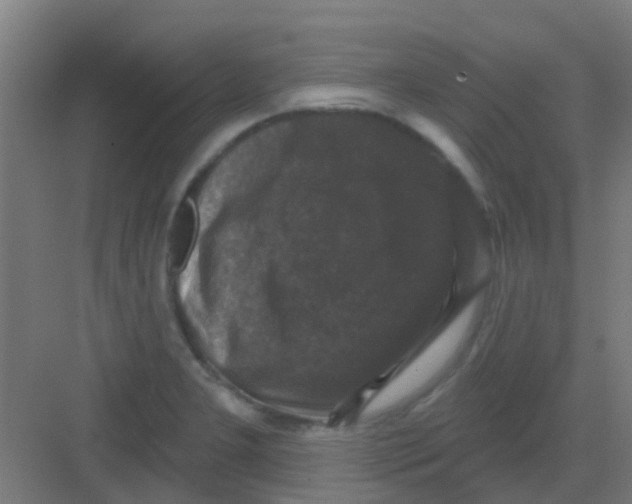 X0000081361277200702082311