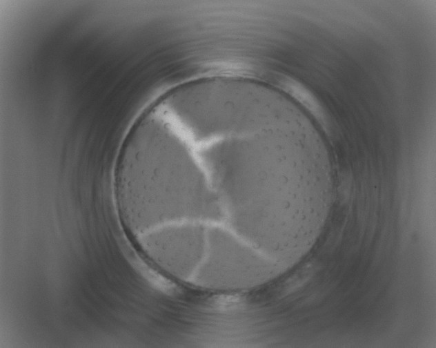 X0000081361283200702082311