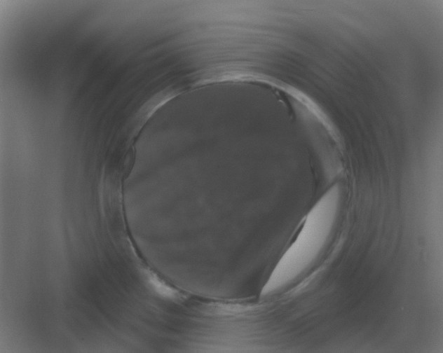 X0000081361289200702082311