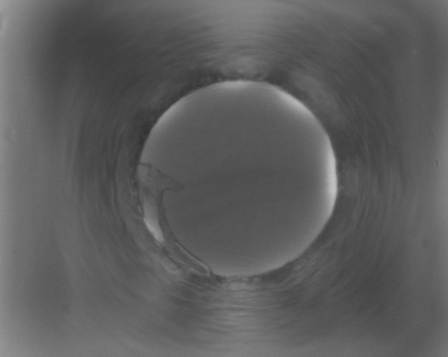 X0000081361297200702082310