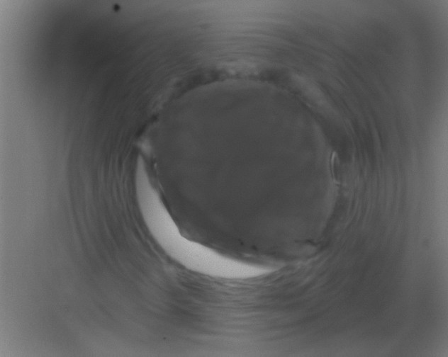 X0000081361298200702082310