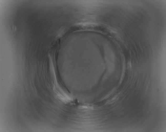 X0000081361300200702082310