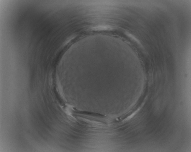 X0000081361305200702082310