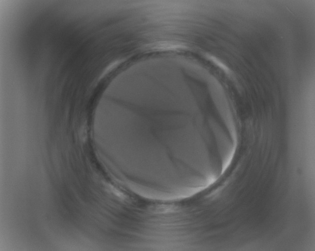 X0000081361306200702082310