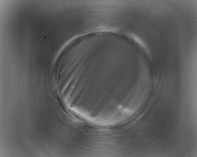 X0000081361310200702082310
