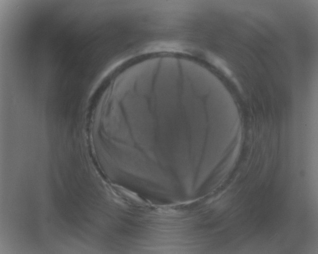 X0000081361312200702082310