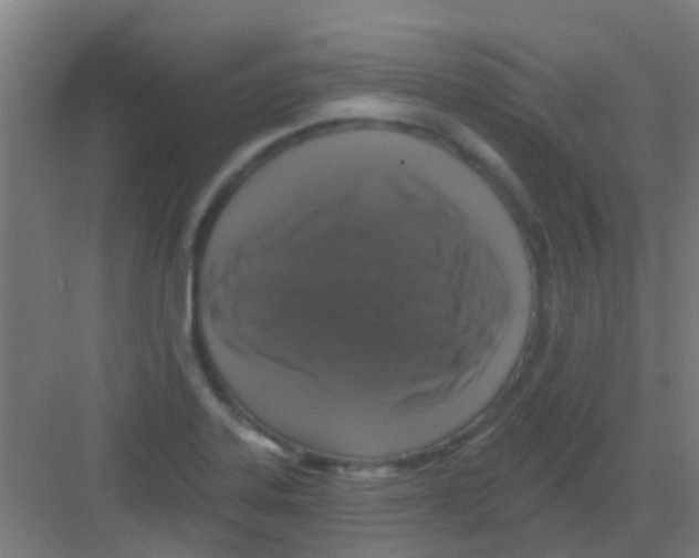 X0000081361323200702082310