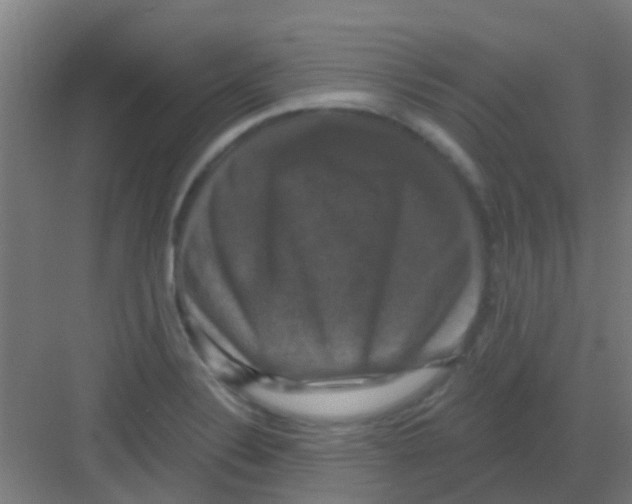 X0000081361324200702082310