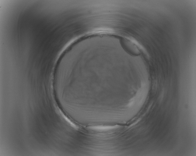 X0000081361325200702082310