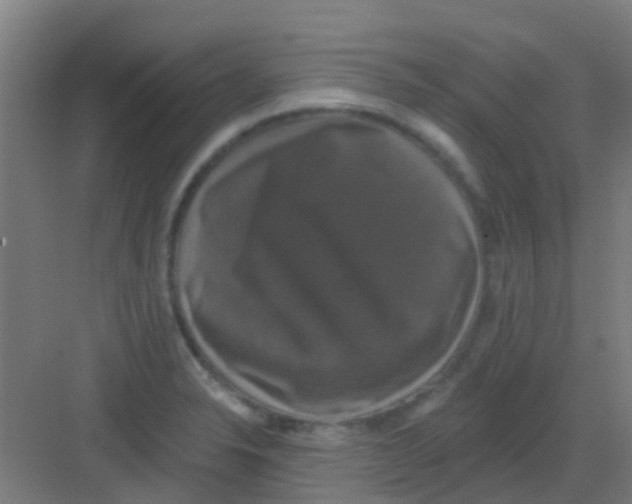 X0000081361326200702082310