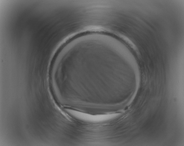 X0000081361327200702082310